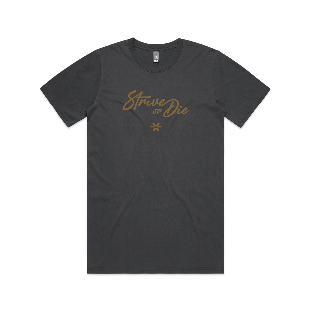 Strive or Die Script - Basic Tee - Faded Black