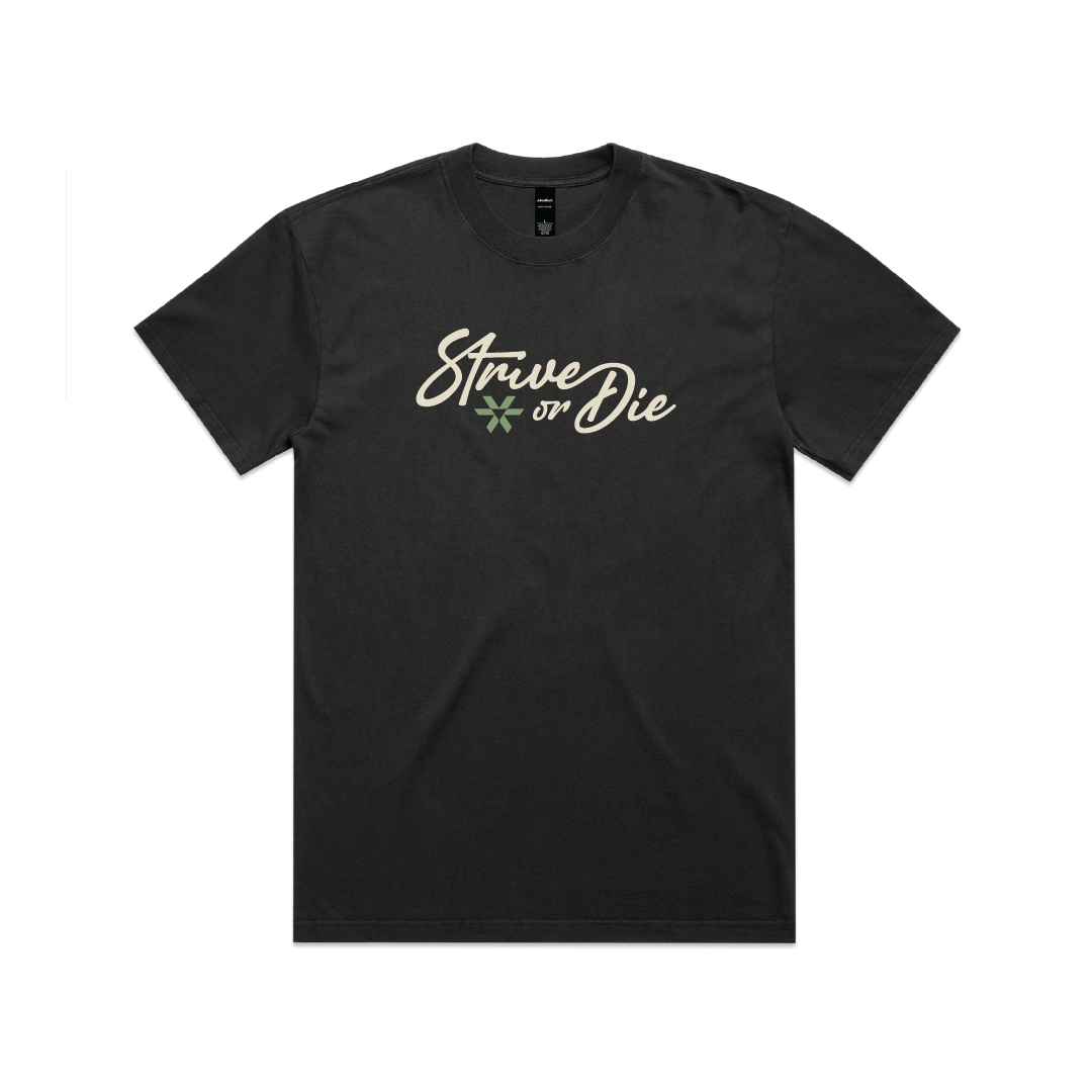 Strive or Die - Heavy Faded Tee - Black