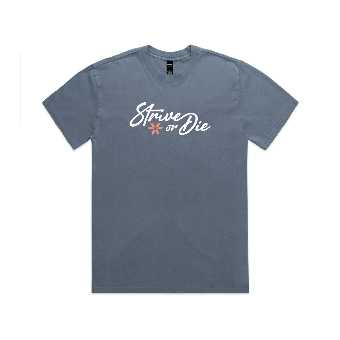 Strive or Die - Heavy Faded Tee