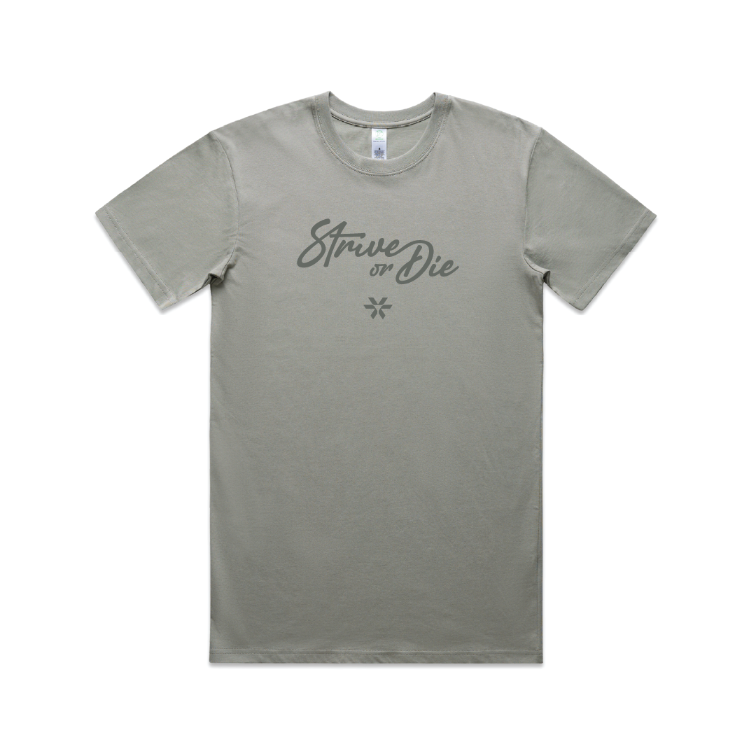 Strive or Die Script - Basic Tee - Granite